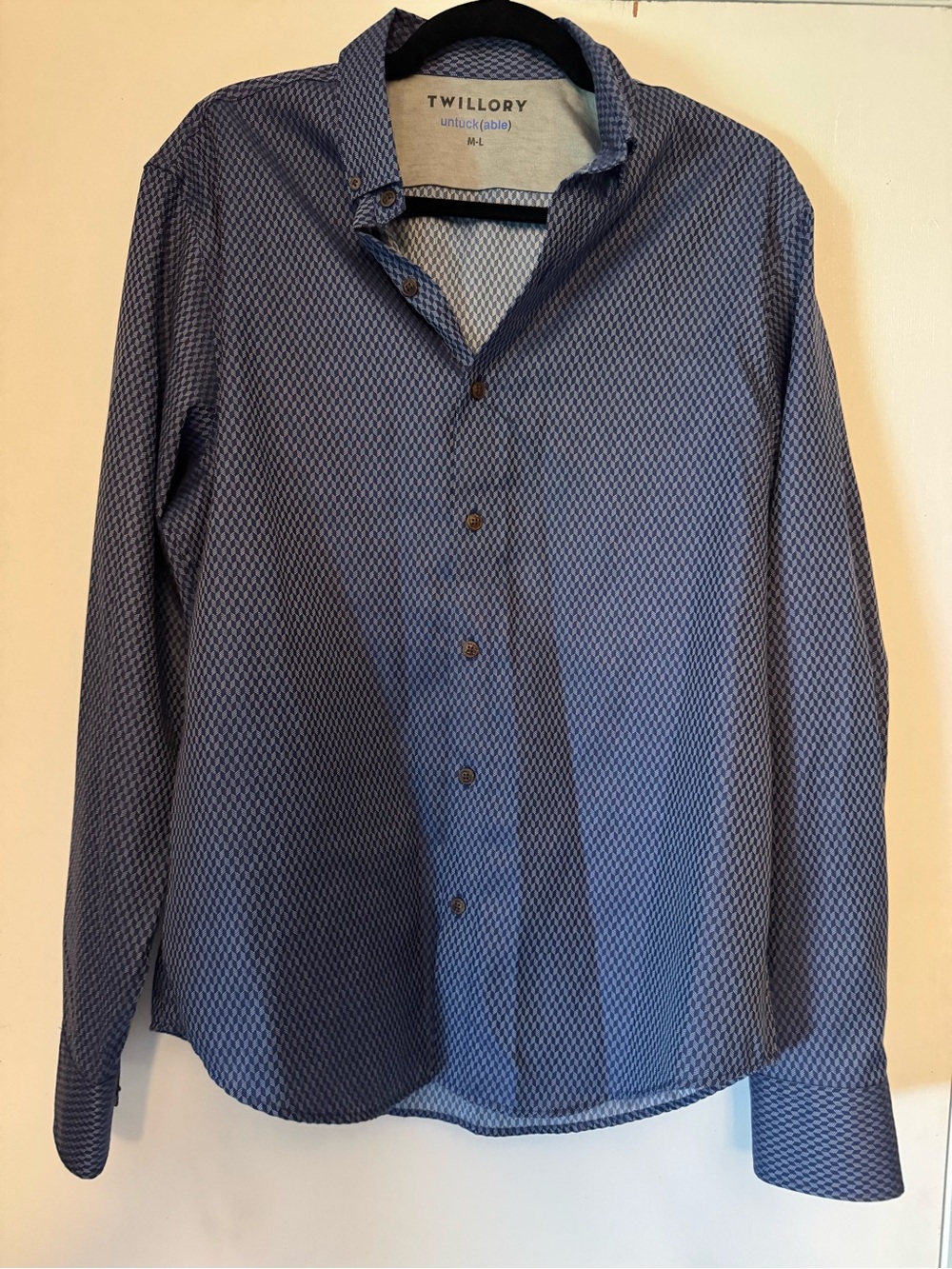 Twillory Blue Micro-Pattern Long-Sleeve Button-Down Shirt